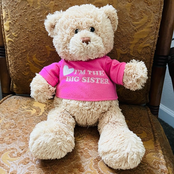 🎀GUND🐻 “I’m the Big Sister” Bear - Picture 2 of 5